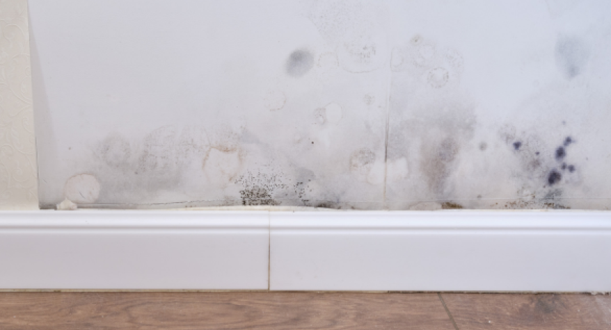 Can Damaged External Walls Cause Damp Inside Your Home? A Real Project in Staines-upon-Thames